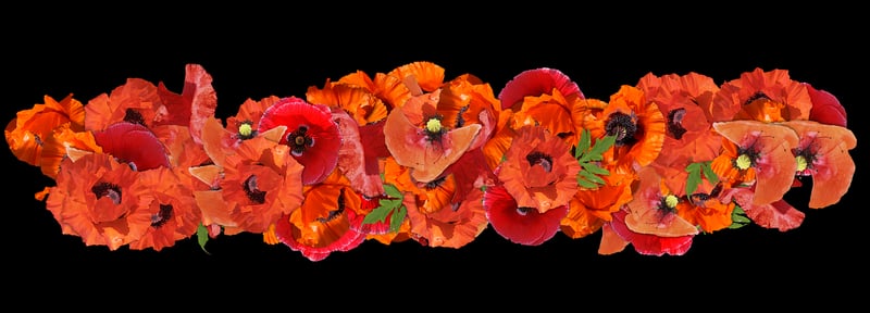 Bohemian Garden